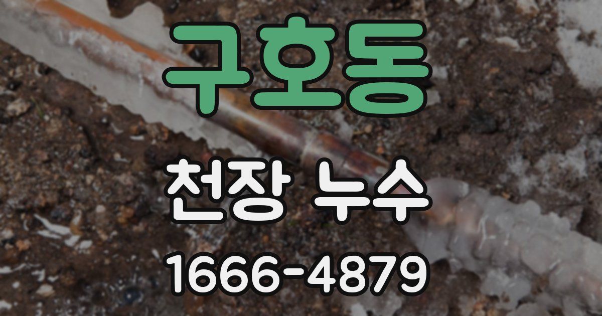 구호동 천장 누수