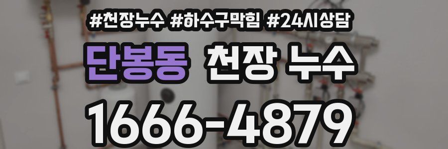 단봉동 천장 누수