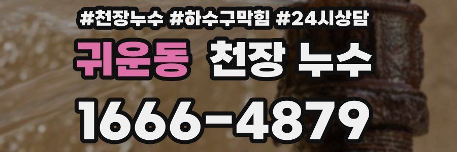 귀운동 천장 누수