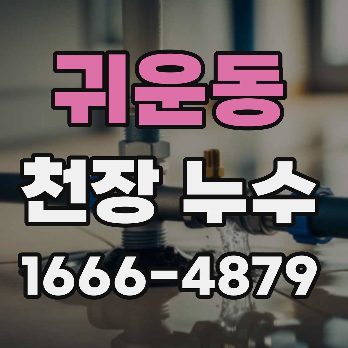 귀운동 천장 누수