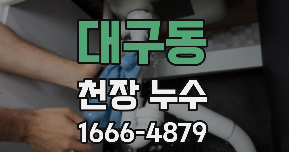 대구동 천장 누수