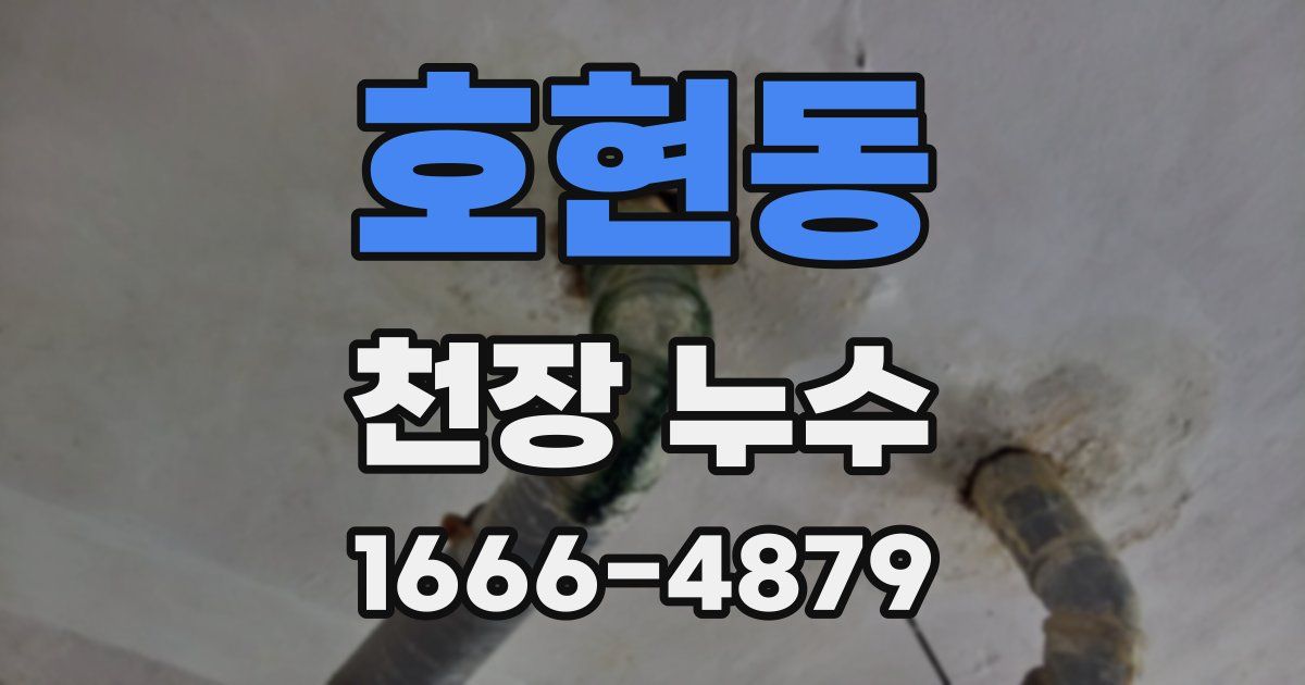 호현동 천장 누수
