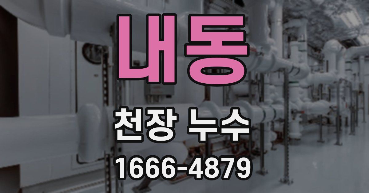 내동 천장 누수