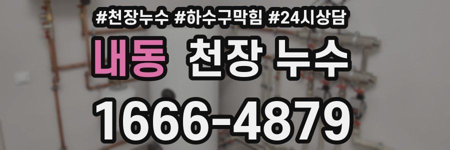 내동 천장 누수