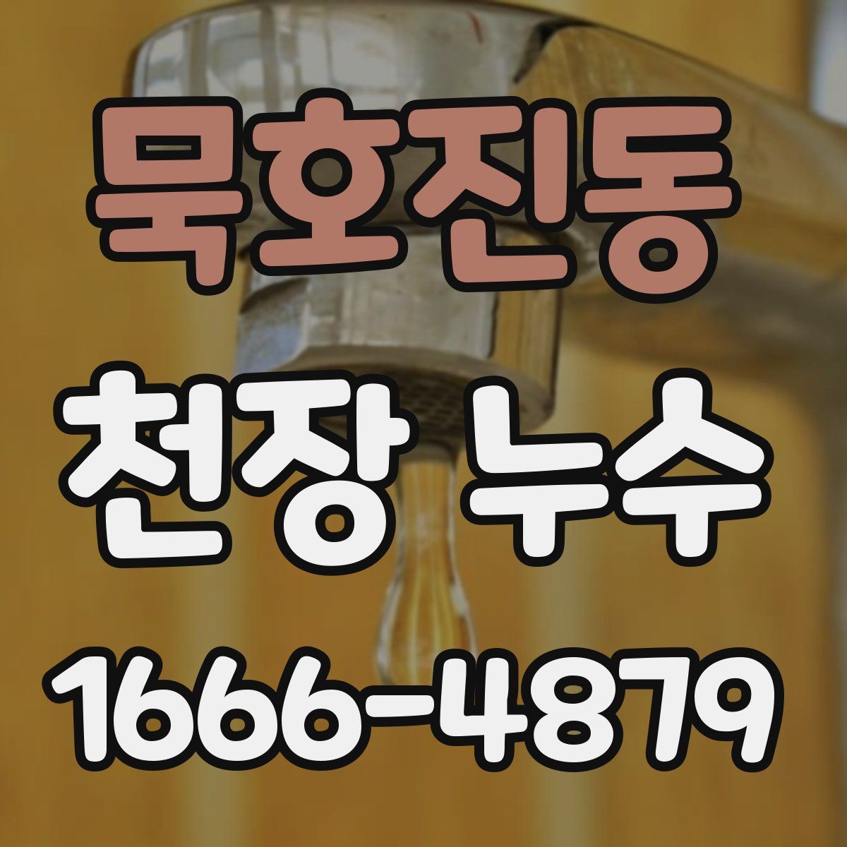 묵호진동 천장 누수