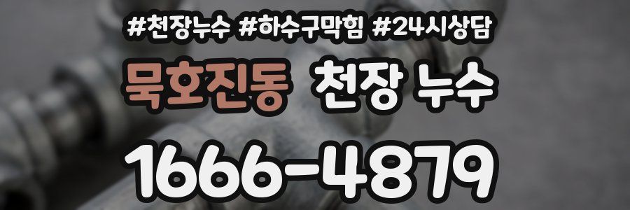 묵호진동 천장 누수