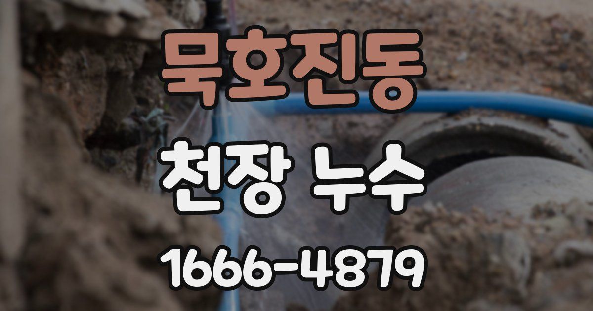 묵호진동 천장 누수