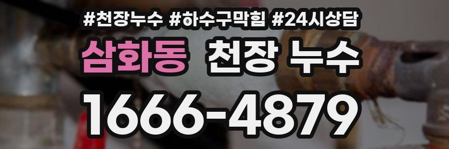 삼화동 천장 누수