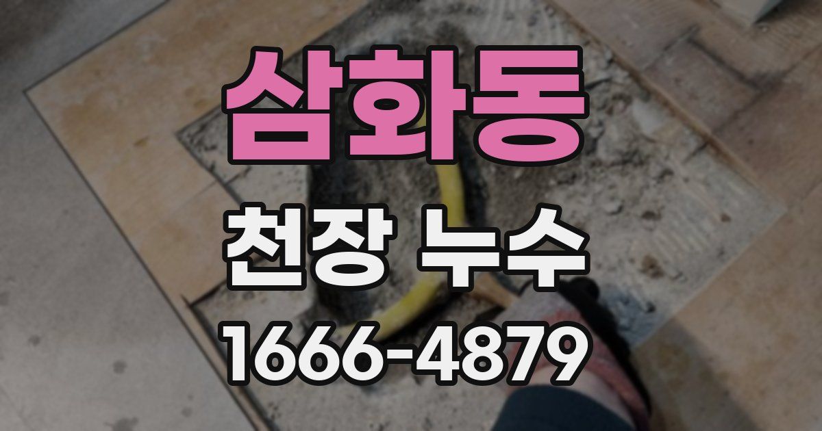 삼화동 천장 누수