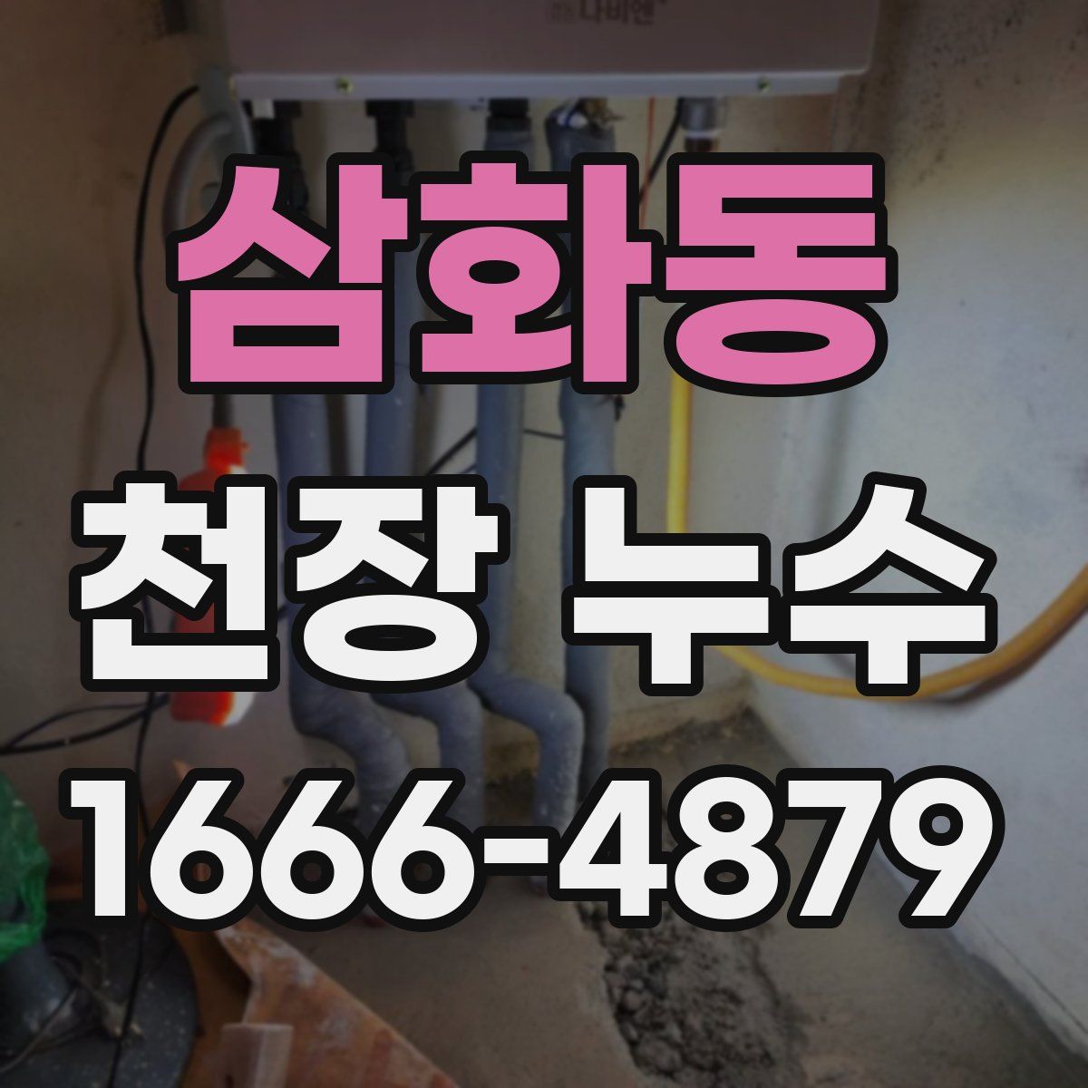 삼화동 천장 누수