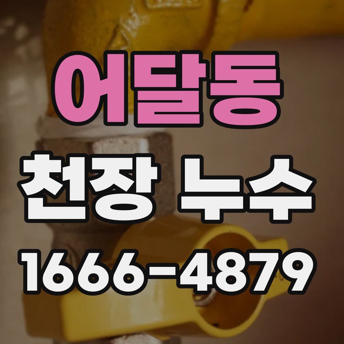 어달동 천장 누수