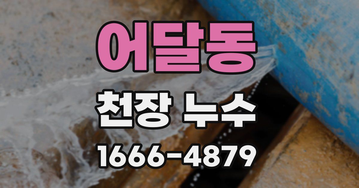 어달동 천장 누수