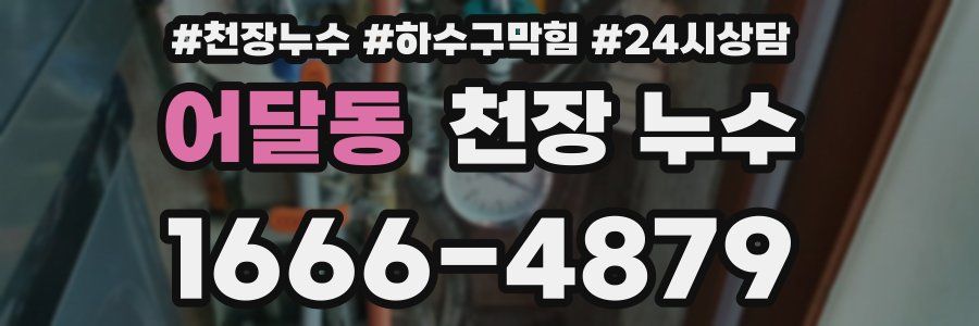 어달동 천장 누수