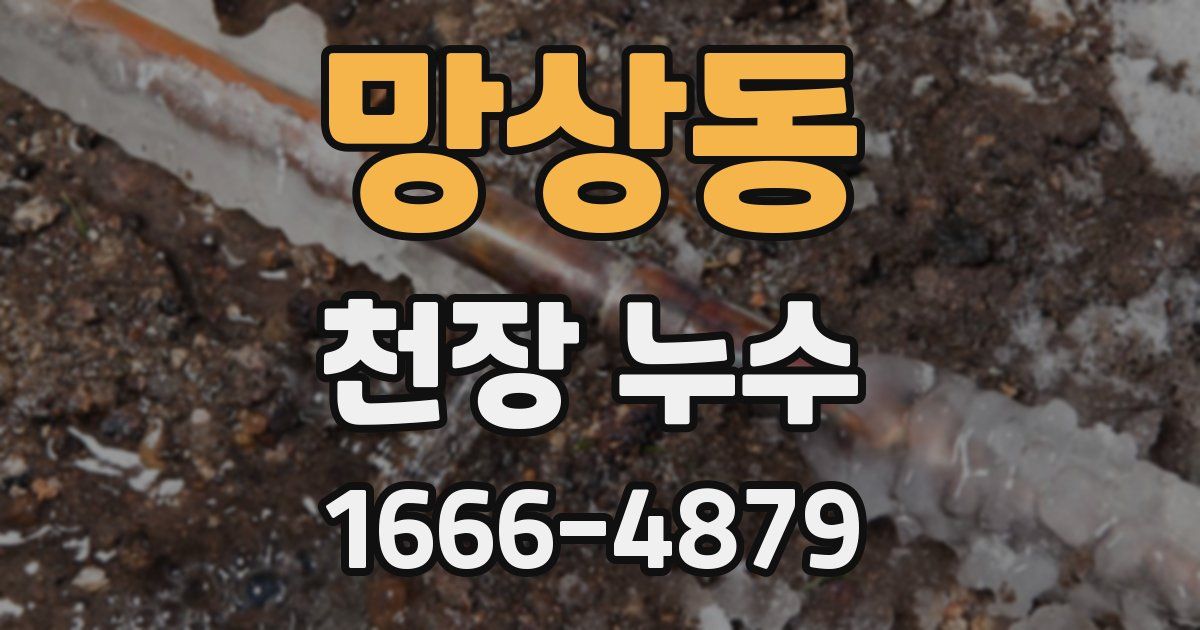 망상동 천장 누수