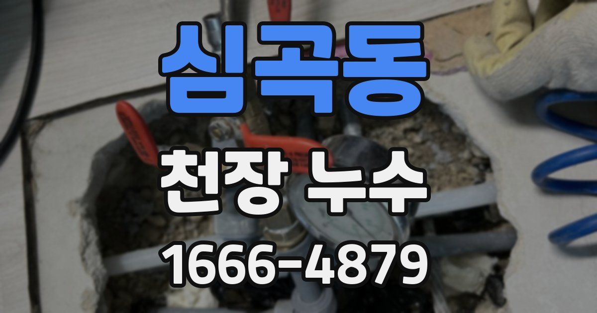 심곡동 천장 누수