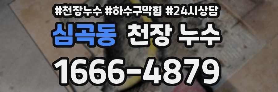 심곡동 천장 누수