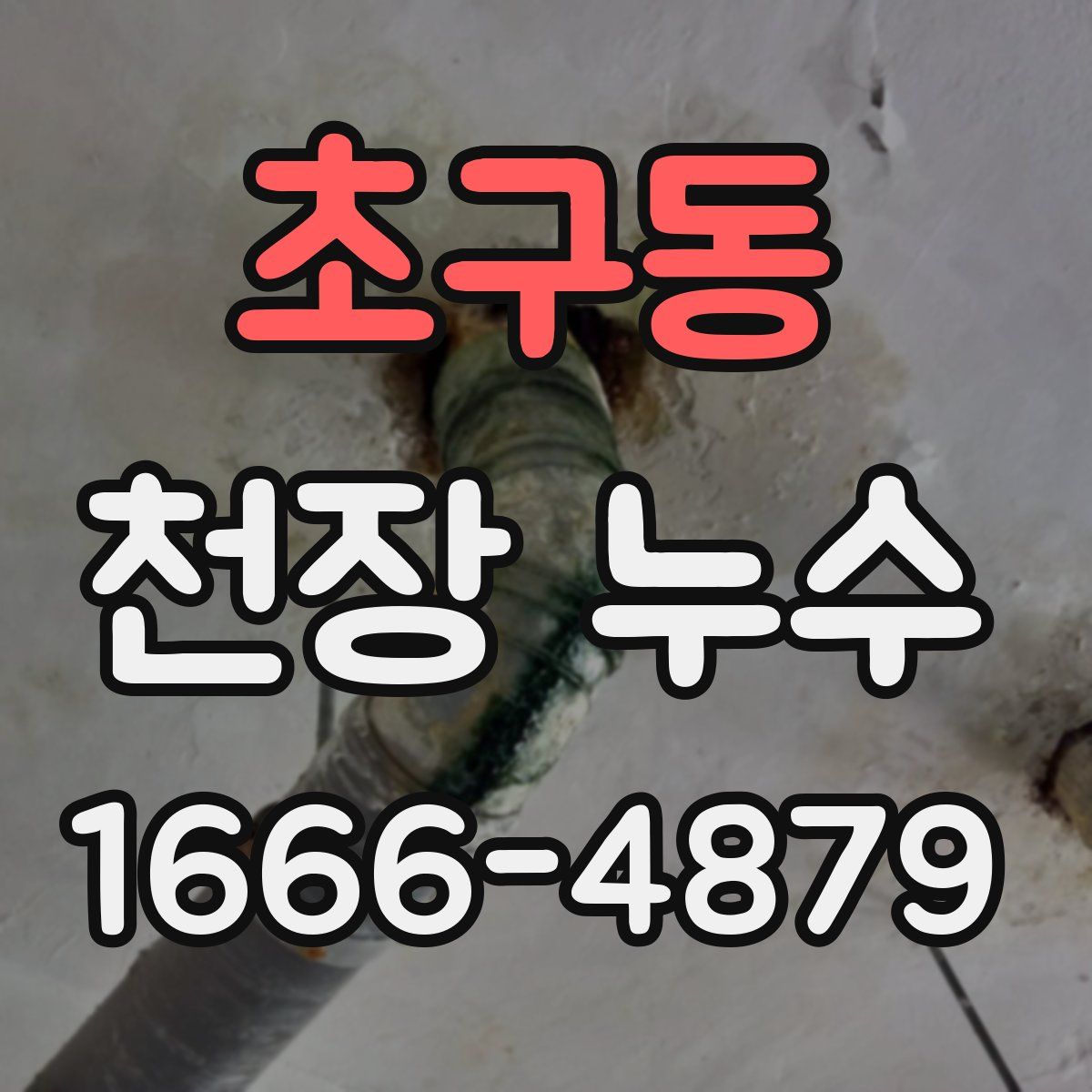 초구동 천장 누수
