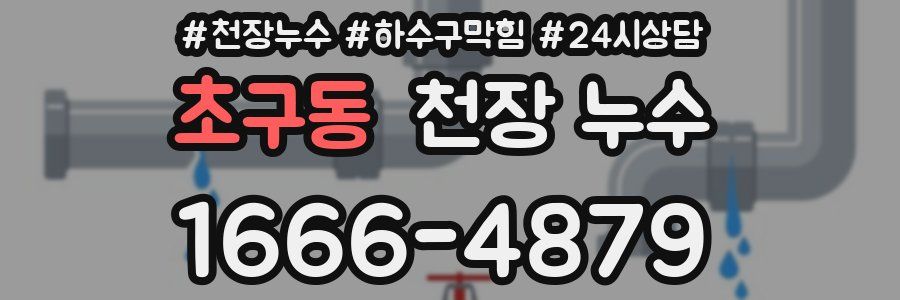 초구동 천장 누수