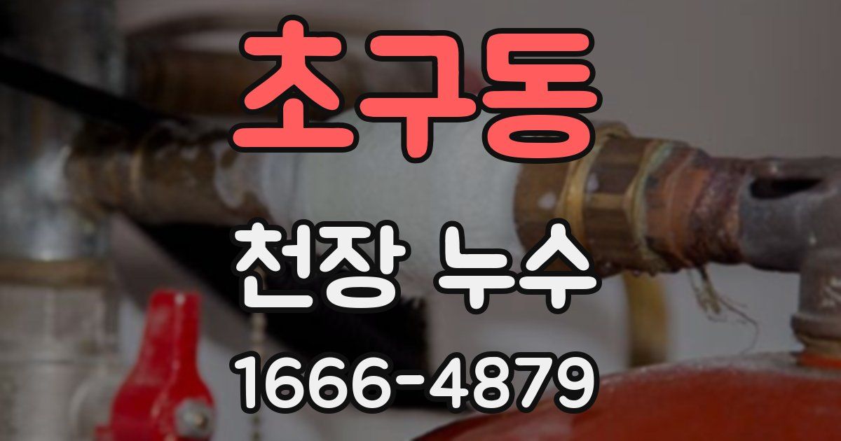 초구동 천장 누수