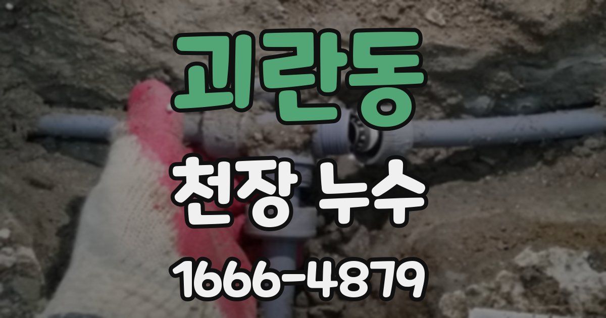 괴란동 천장 누수