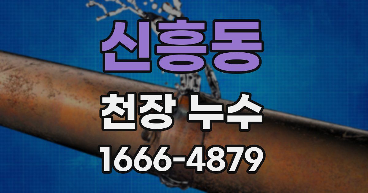 신흥동 천장 누수