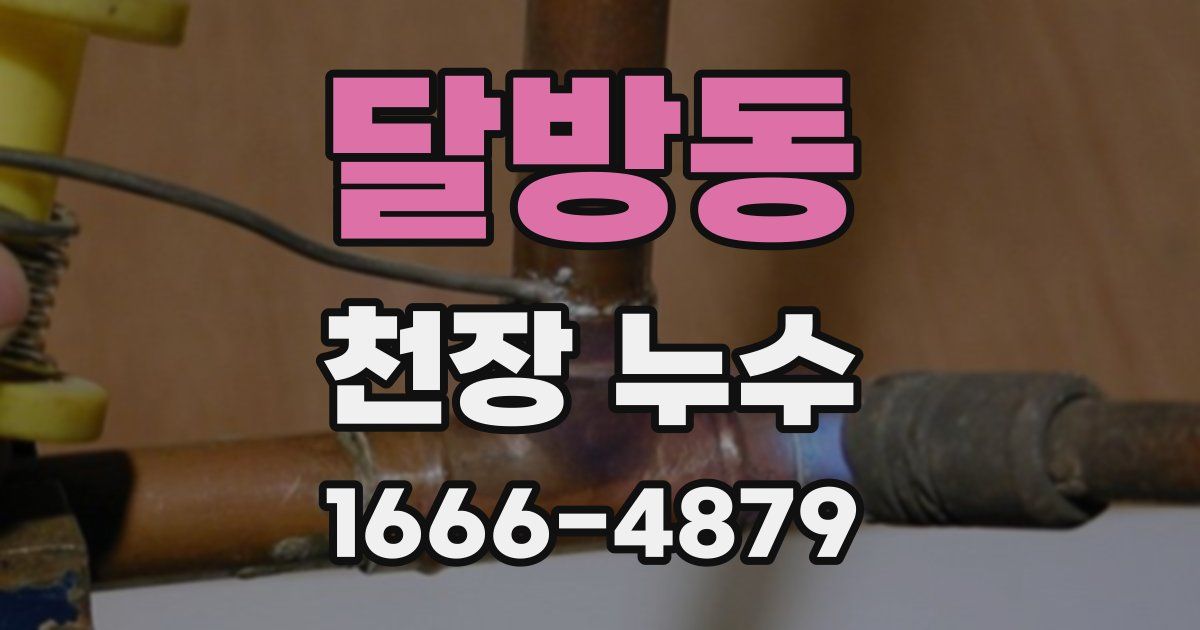 달방동 천장 누수