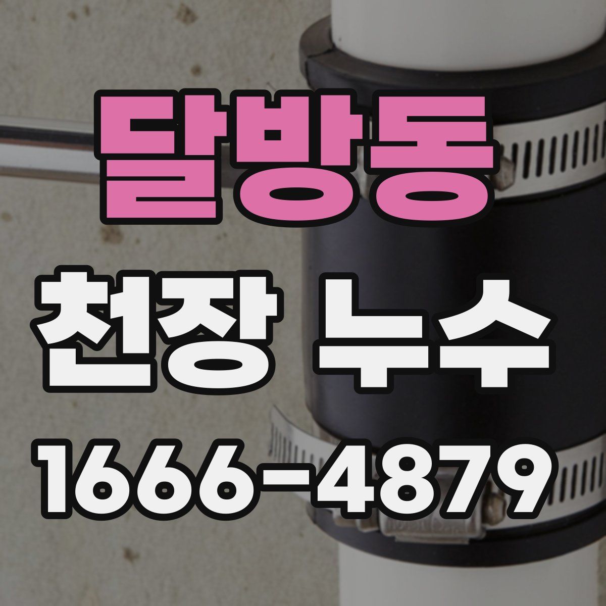 달방동 천장 누수