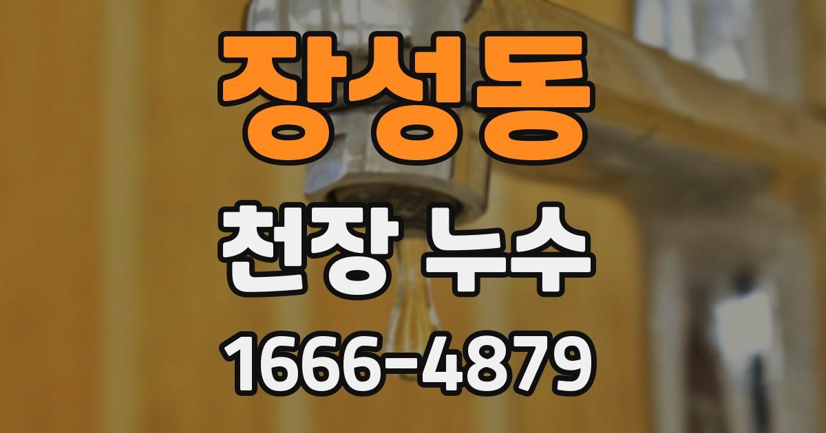 장성동 천장 누수