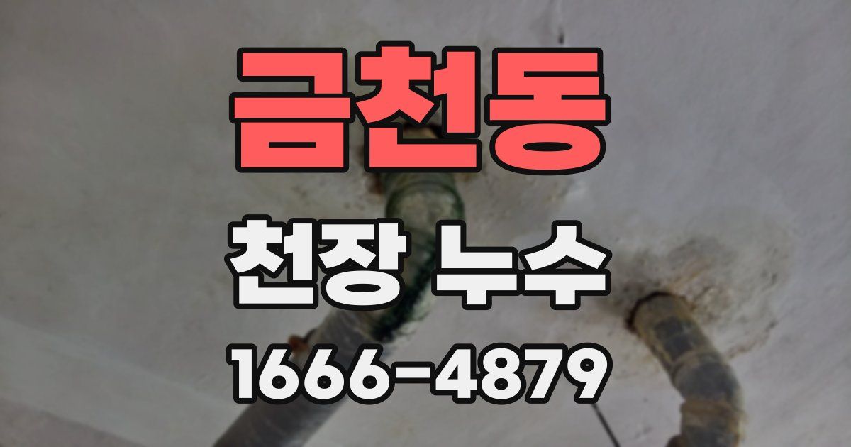 금천동 천장 누수