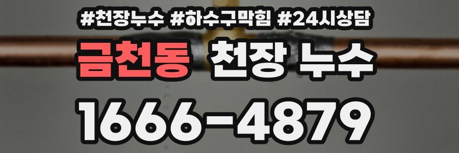 금천동 천장 누수