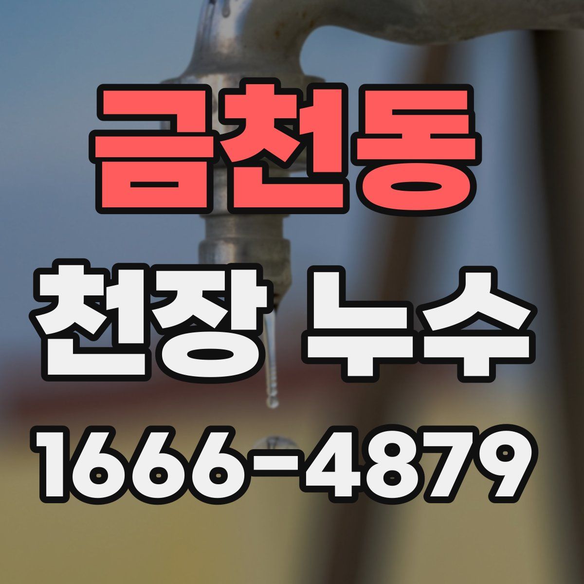 금천동 천장 누수