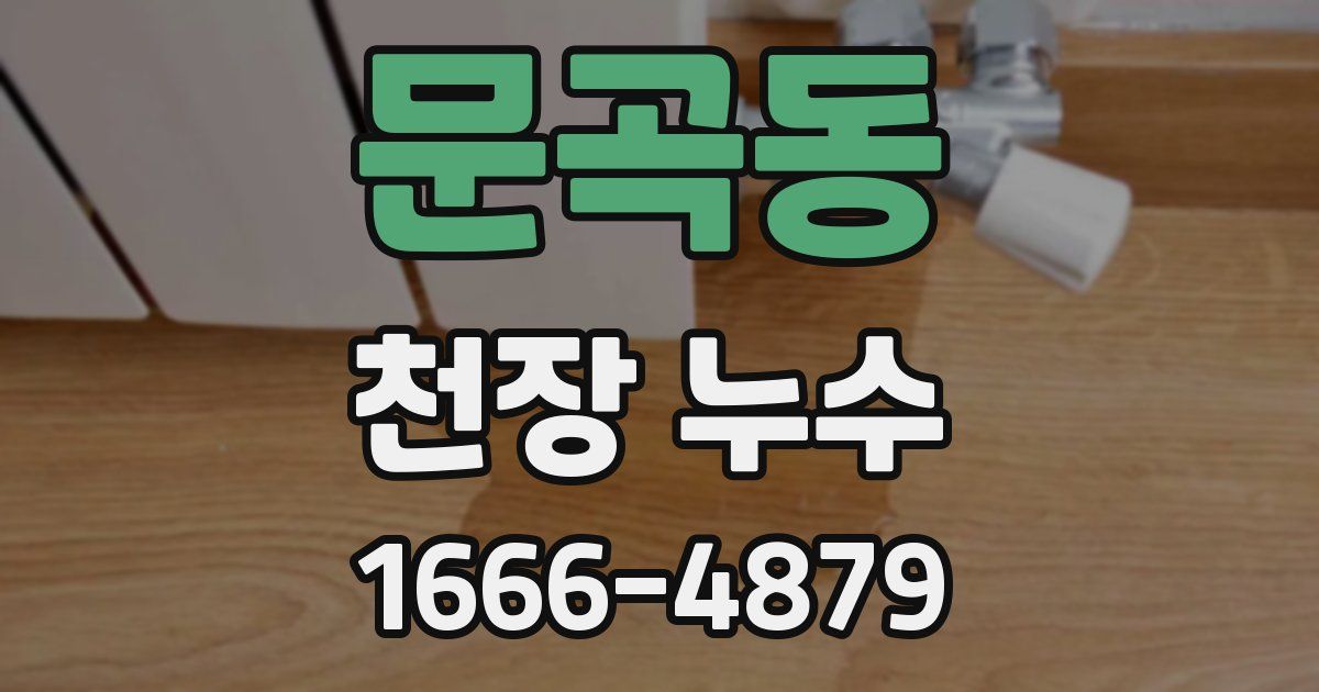 문곡동 천장 누수