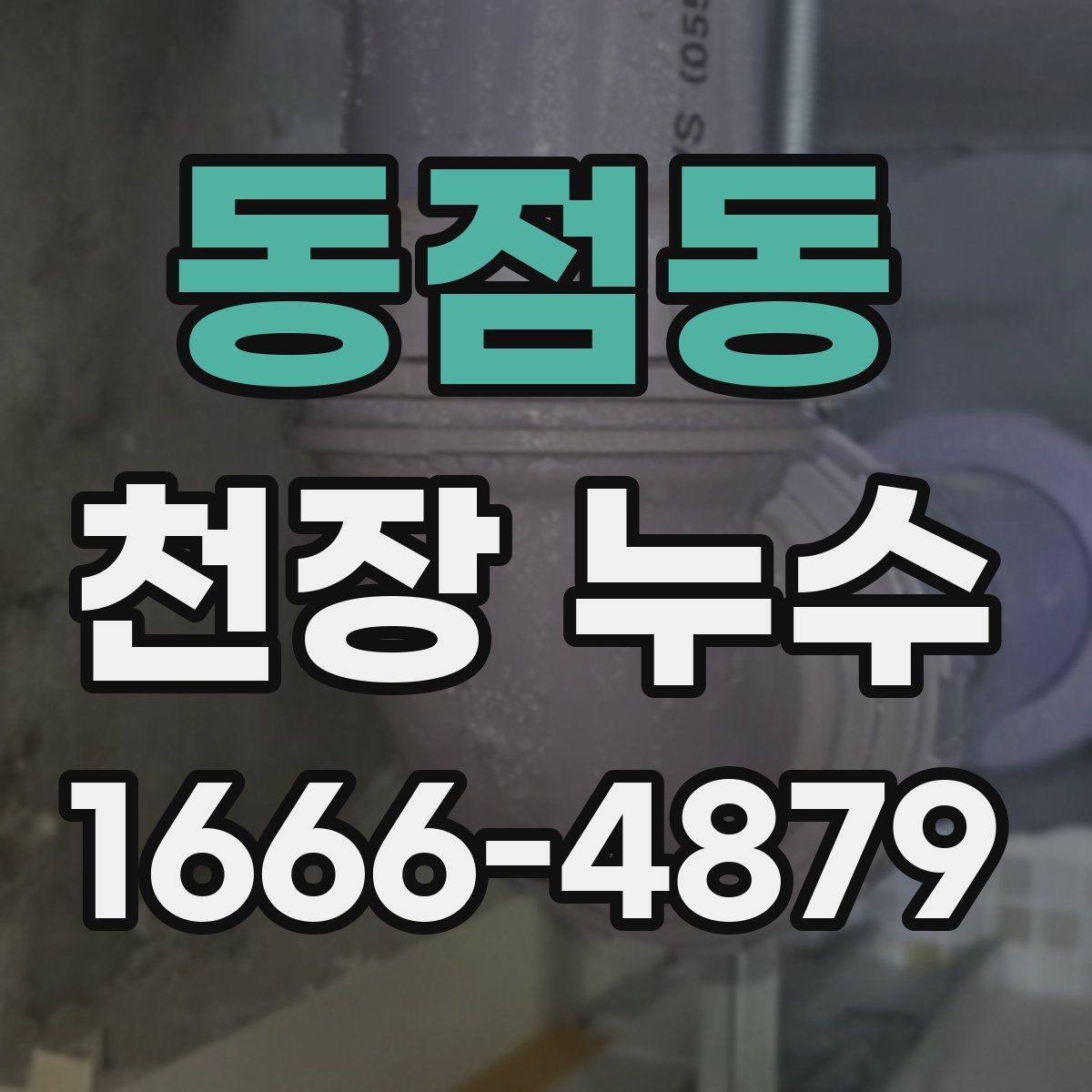 동점동 천장 누수