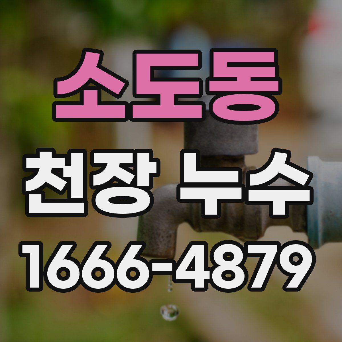 소도동 천장 누수