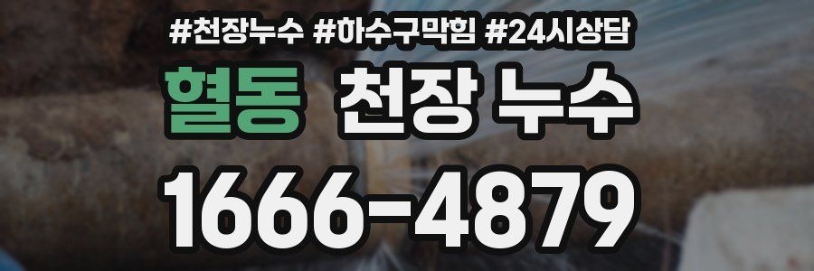 혈동 천장 누수