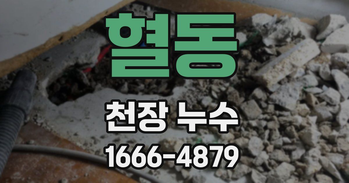 혈동 천장 누수