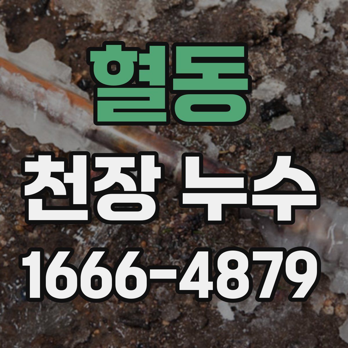 혈동 천장 누수