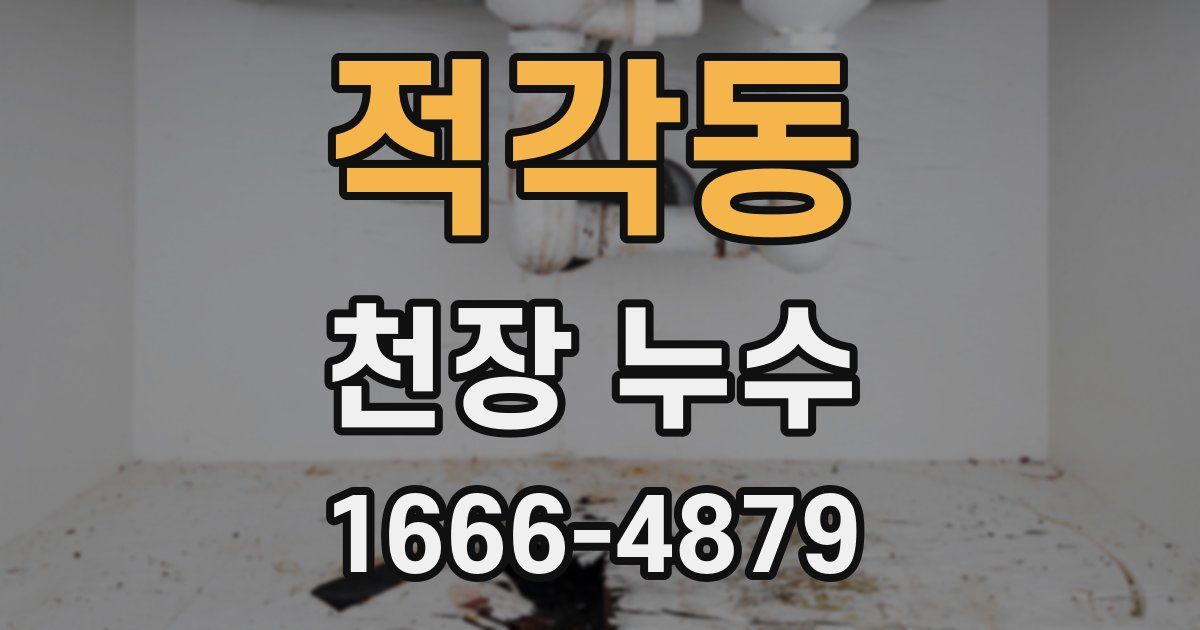 적각동 천장 누수