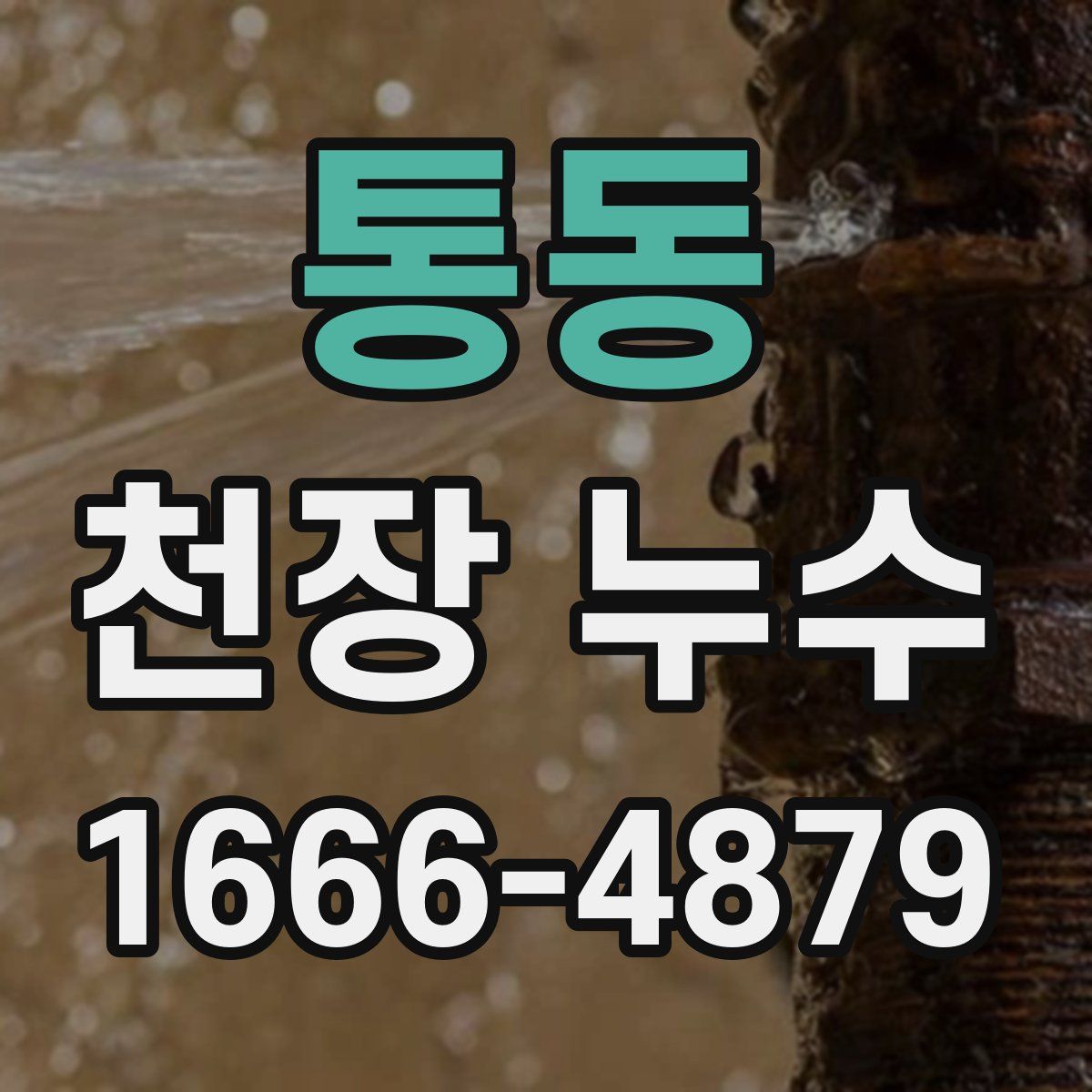 통동 천장 누수