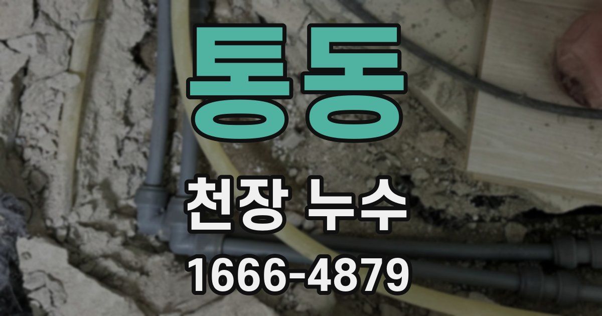 통동 천장 누수