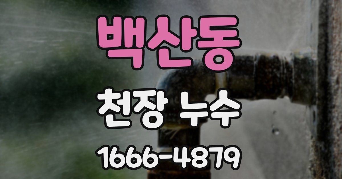 백산동 천장 누수