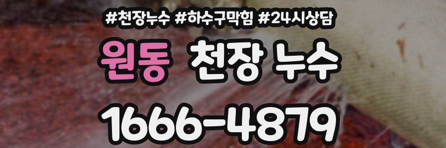 원동 천장 누수