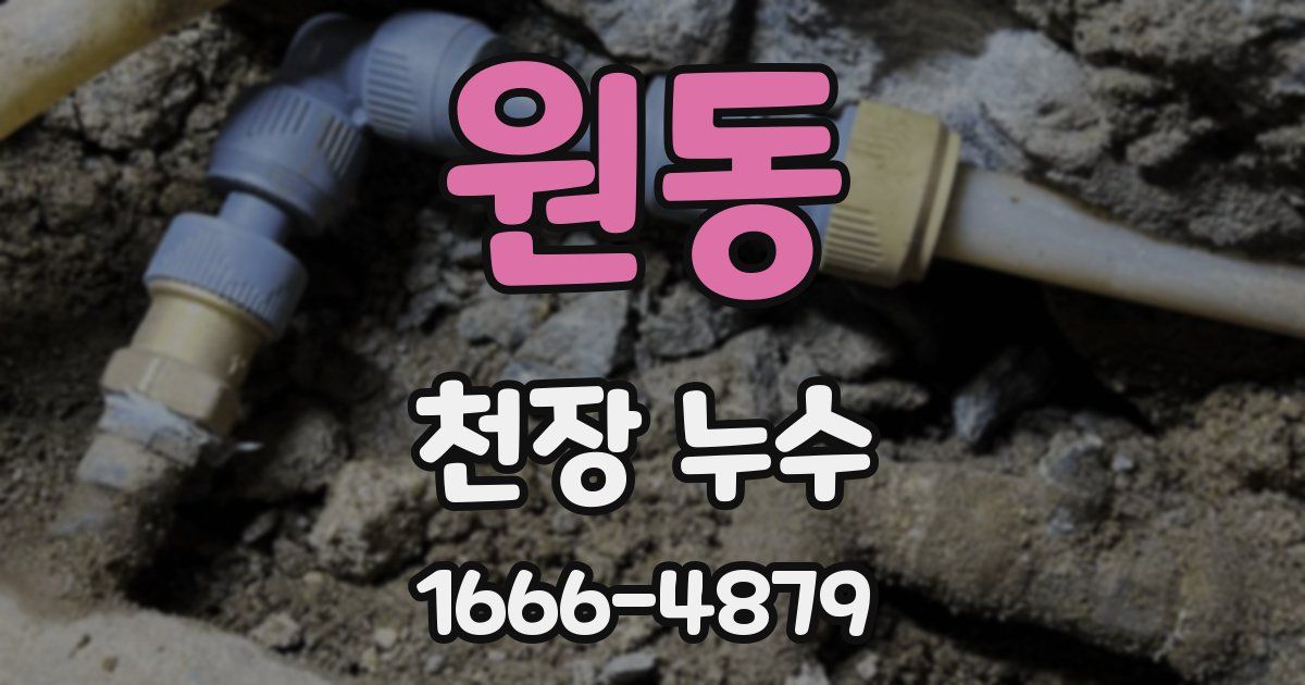 원동 천장 누수