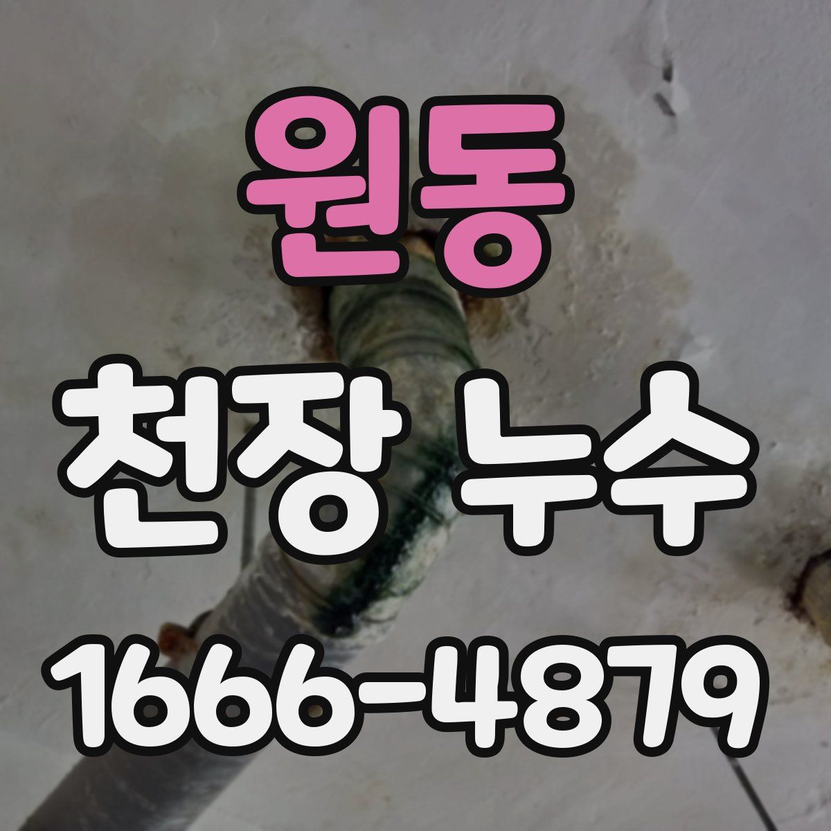 원동 천장 누수