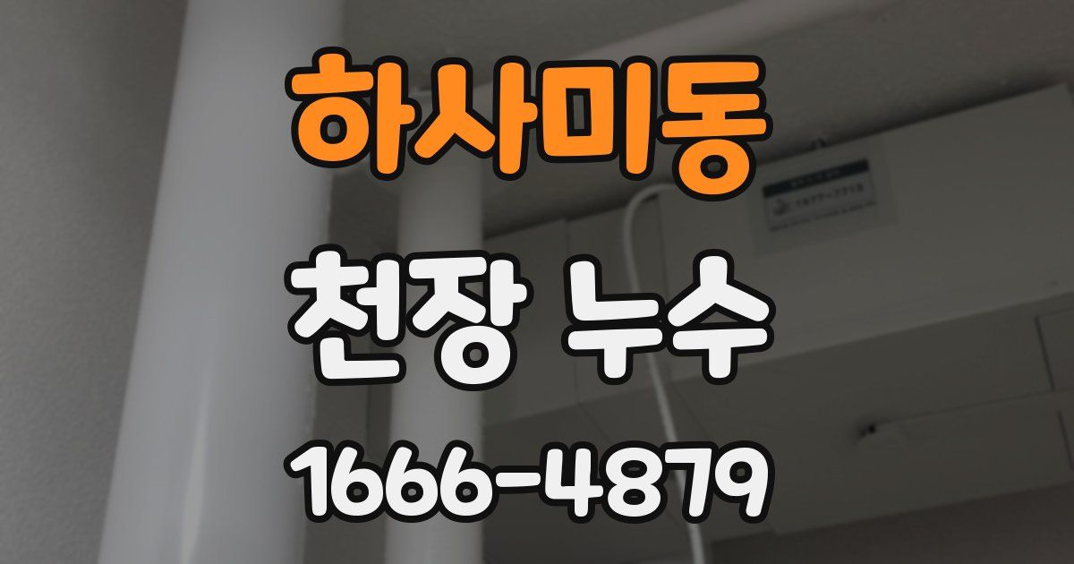 하사미동 천장 누수