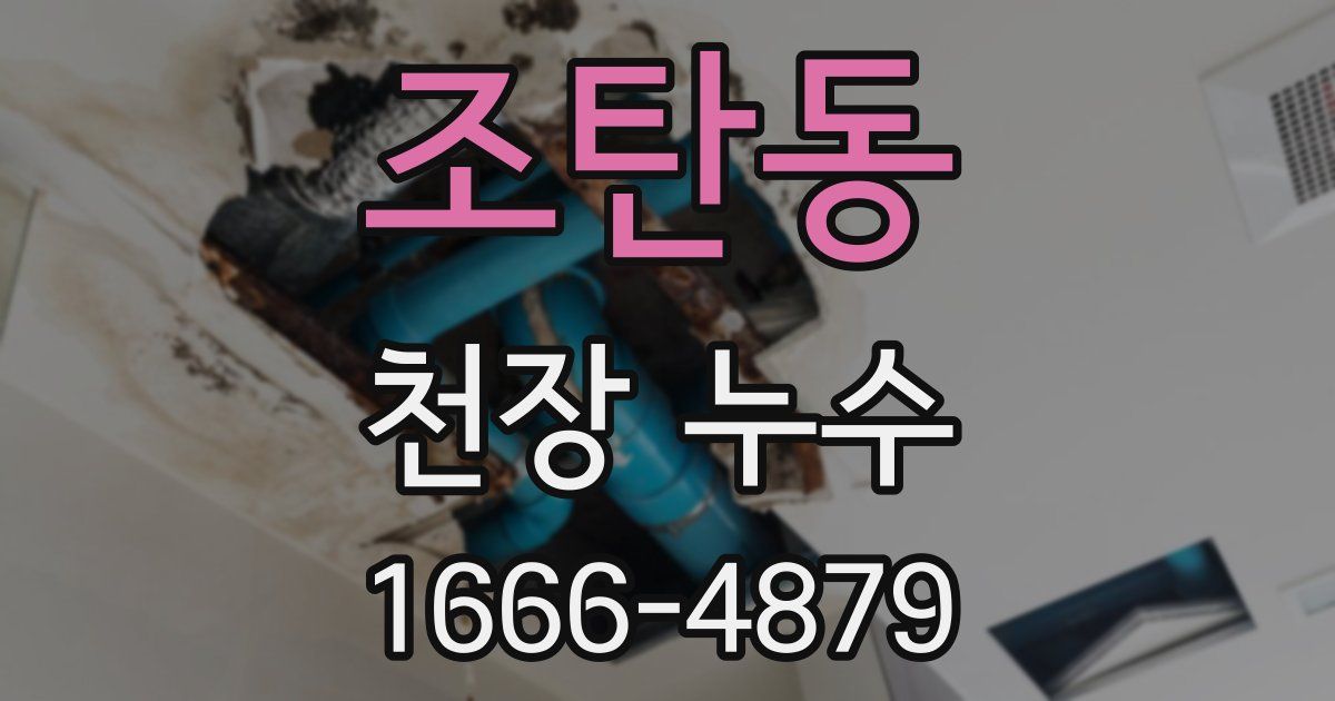 조탄동 천장 누수