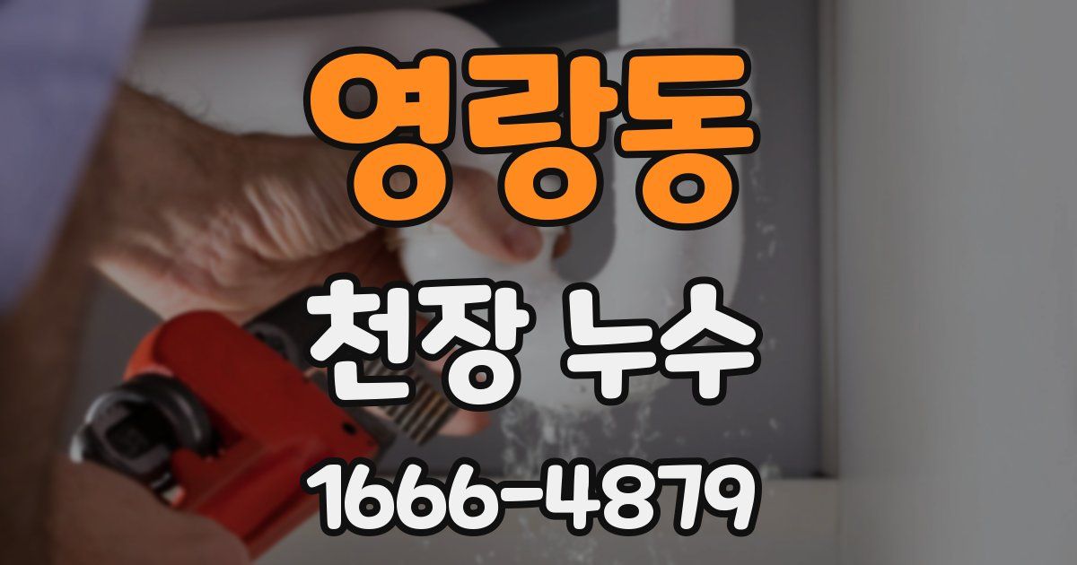 영랑동 천장 누수