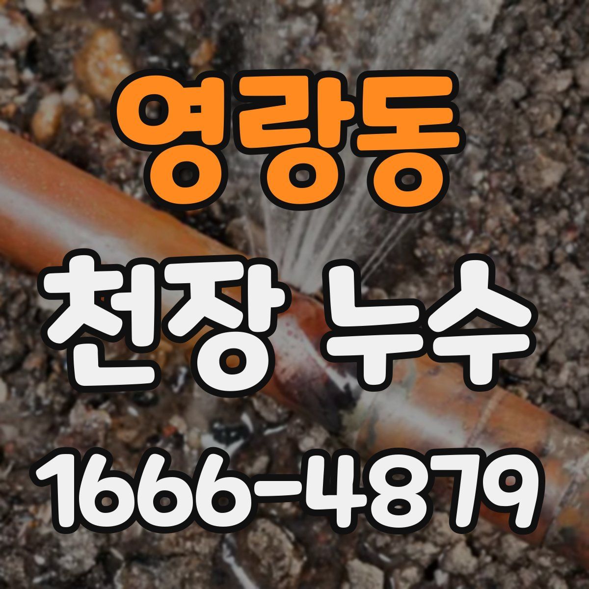 영랑동 천장 누수
