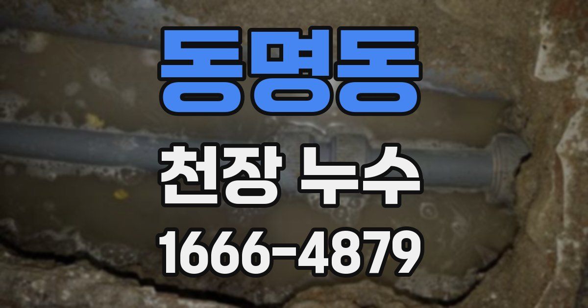 동명동 천장 누수