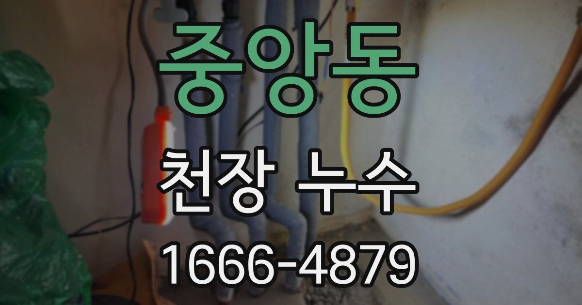 중앙동 천장 누수